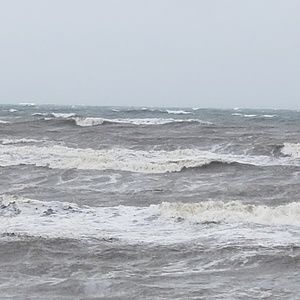 Meet your Posher, Alan